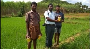 Shali Raju, Scientist (Ento.), KVK, Venkataramannagudem conducted diagnostic field visit to vegetable fields viz.
