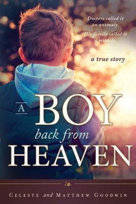 {Ebook PDF Epub Download A Boy Back from Heaven by Celeste Goodwin Download Ebook here ====>>> http://bookslibrary12.xyz/?