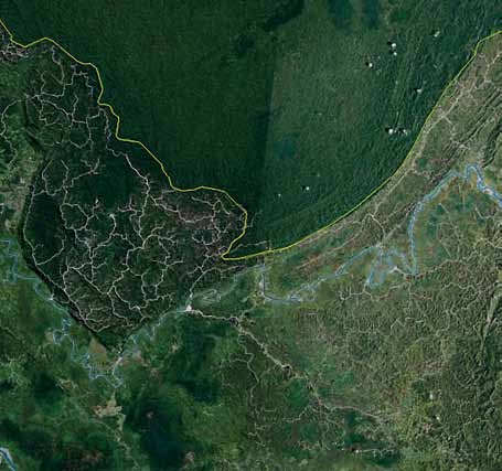 Sarawak State Government estimated that the replacement value of the forest for indigenous Penan communities in one region is 75 per cent of household income 31, and that the effects of logging have