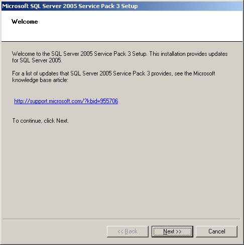 20. The Setup Progress screen appears and the installation is started. When the message Please Insert Disk 2 is displayed, insert the SQL Server 2005 Standard Edition CD-ROM Disk2 to the drive.