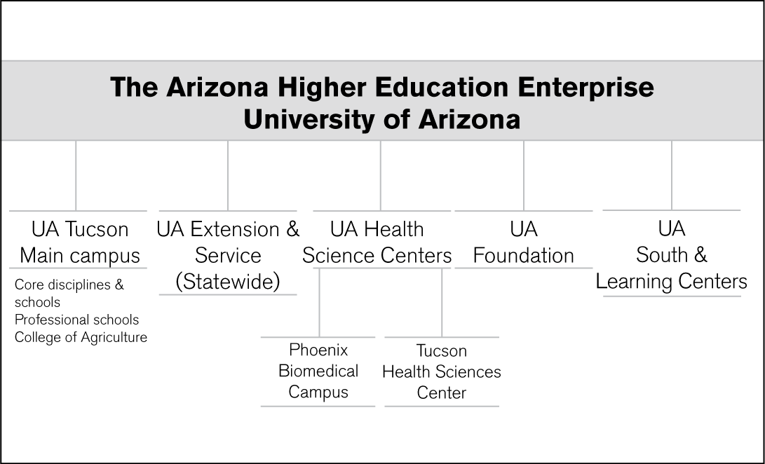 University of Arizona Strategic Targets 2010 Forward: 1) Enrollment on the main campus from 39,000 to 40,000 students with 15,000 being out of state.