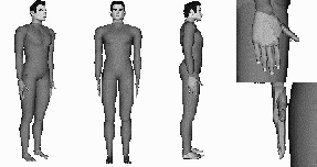 Body animation parameter set BAP parameters comprise joint angles connecting different body parts.