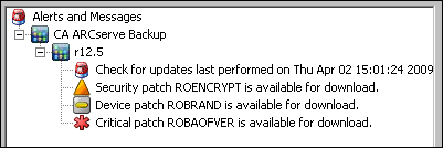 Understanding the CA ARCserve Backup Patch Manager GUI Alerts and Messages Pane Displays any informational alerts or messages associated CA ARCserve Backup patches.