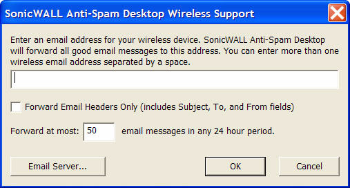 Configuring Challenges for Spammers Wireless Device Support (Email Forwarding) Selecting this option allows you set-up your system to forward a copy of all good email to another valid email address,