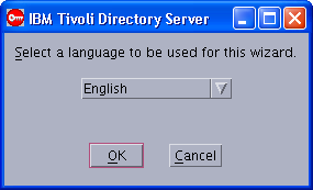 Setting up IBM Tivoli Directory Server (as the Registry Server) The install_ldap_server installation wizard simplifies the installation of IBM Tivoli Directory Server as the Registry Server.
