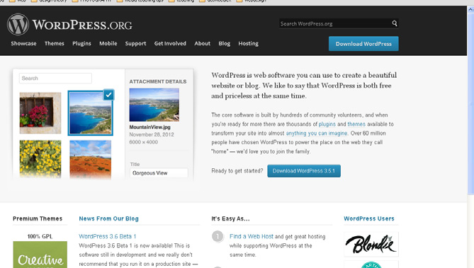 You will 8 now need to download WordPress at http://wordpress.org/.