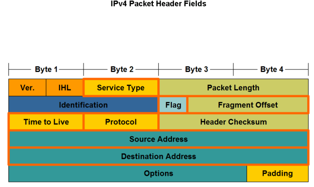 packets Major header fields in the IPv4 protocol Role of each field in transporting packets Grouping Devices into Networks and Hierarchical Addressing Grouping Devices into Networks and