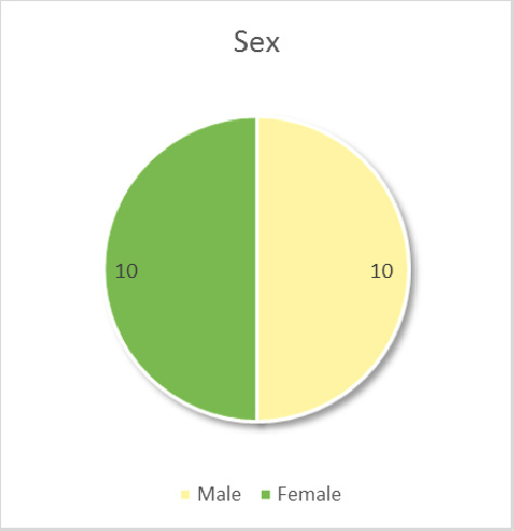 can double-click on the pie chart and adjust colors, labels, shadow, add labels, etc.