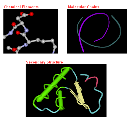 Selecting Coloring Scheme You can select one of the following coloring schemes: Chemical Elements Molecular Chains Secondary Structure To change the coloring scheme open the Coloring Scheme menu