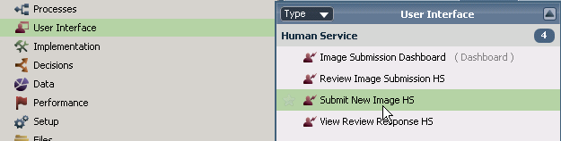 9.3.2 Updating the Image Submission UI The Submit New Image process uses the Submit New Image HS human service to provide the interface that captures the submission information and creates the