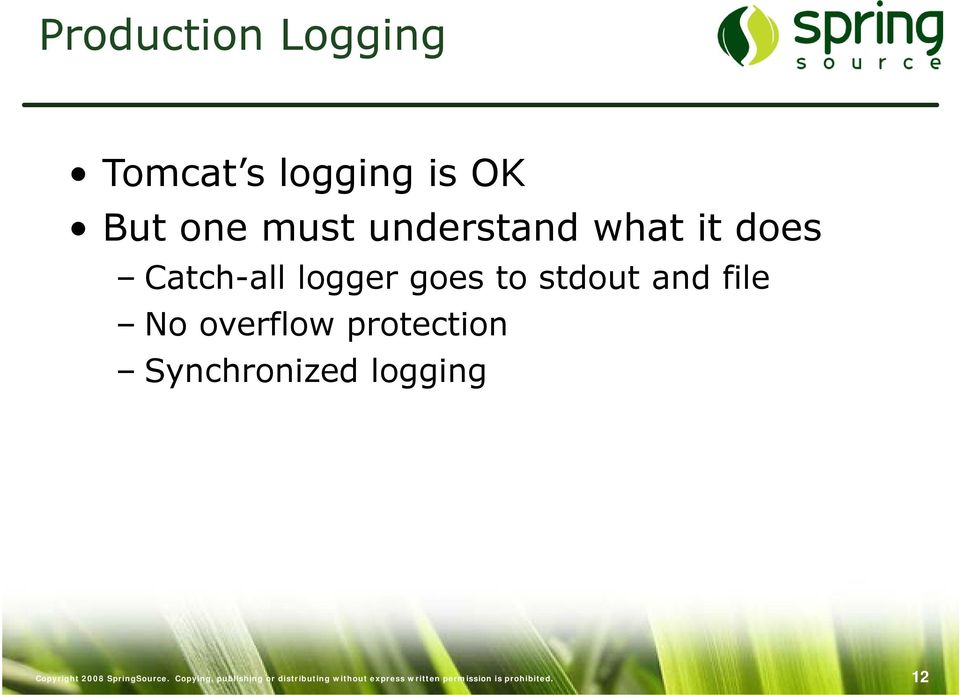 protection Synchronized logging Copyright 2008 SpringSource.