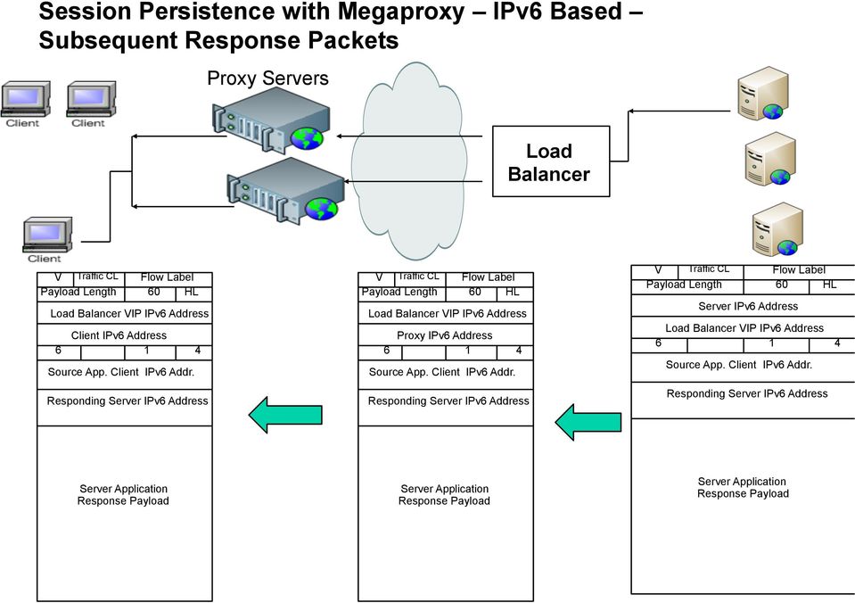 Address Server IPv6 Address Server Application Response Payload