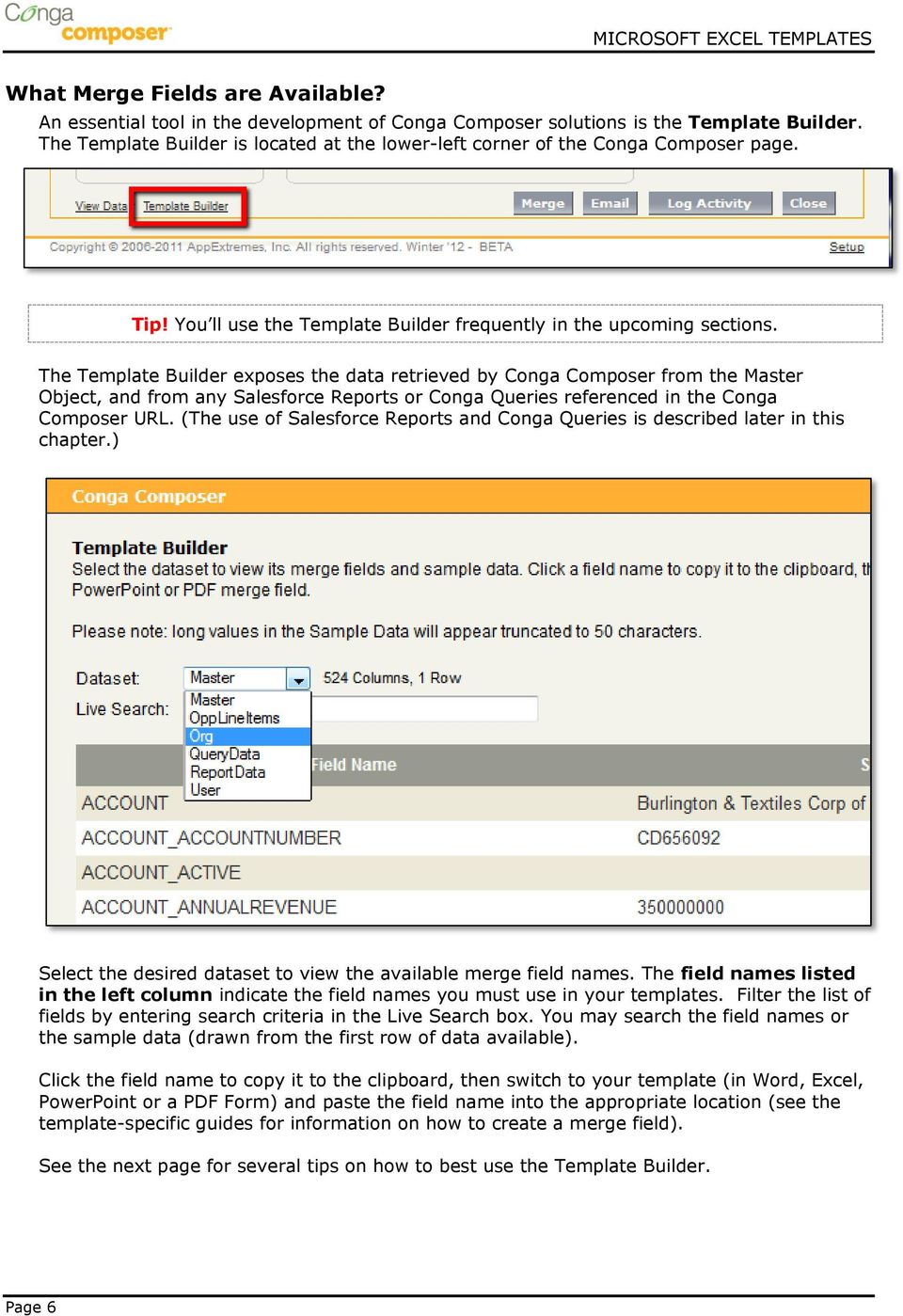 The Template Builder exposes the data retrieved by Conga Composer from the Master Object, and from any Salesforce Reports or Conga Queries referenced in the Conga Composer URL.