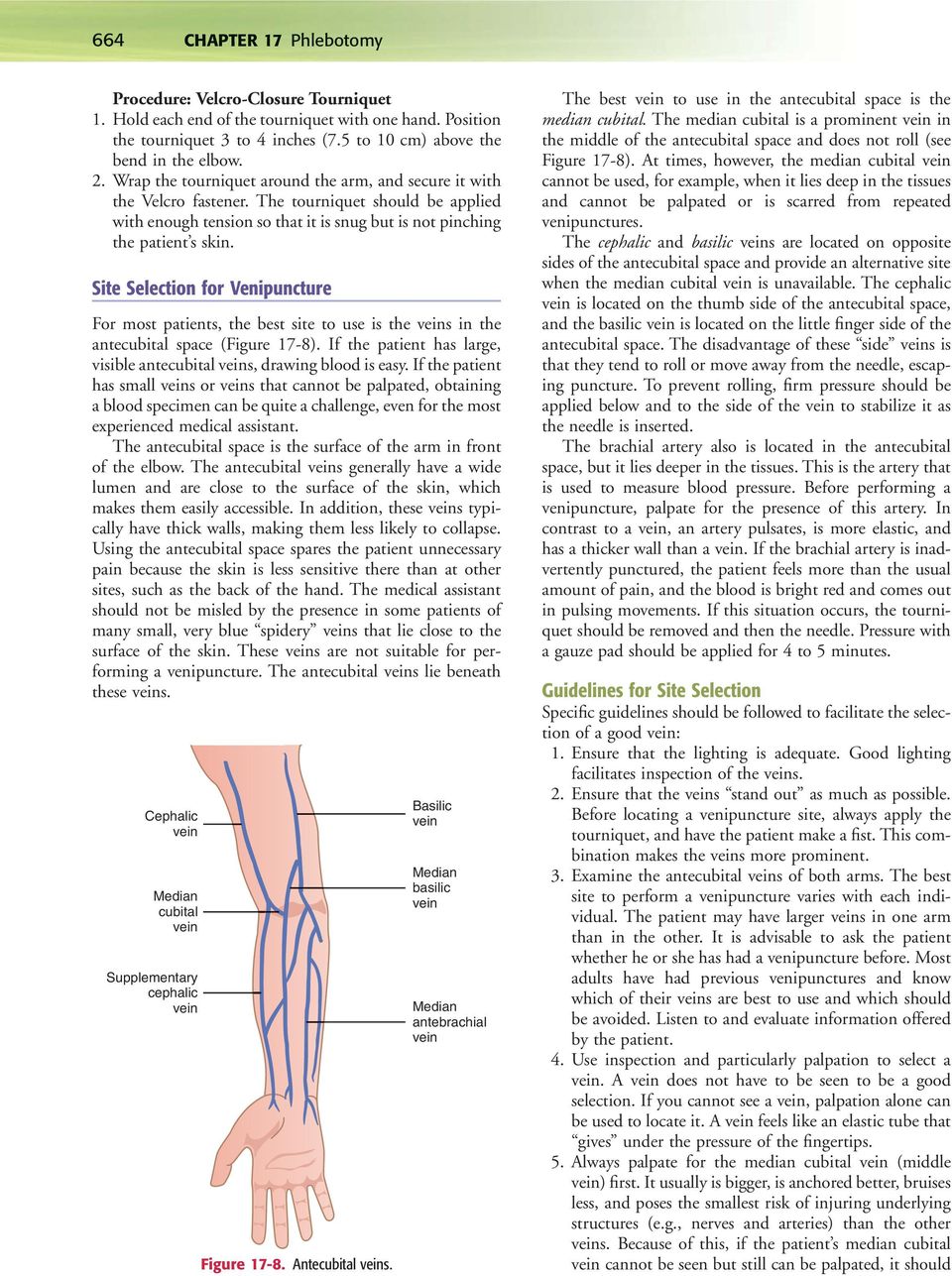 Site Selection for Venipuncture For most patients, the best site to use is the veins in the antecubital space (Figure 17-8). If the patient has large, visible antecubital veins, drawing blood is easy.