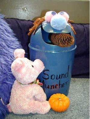 Phoneme Substitution Activity Sound Muncher Use a dollar store trashcan and decorate it.