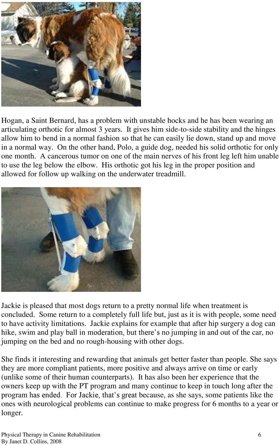 On the other hand, Polo, a guide dog, needed his solid orthotic for only one month. A cancerous tumor on one of the main nerves of his front leg left him unable to use the leg below the elbow.