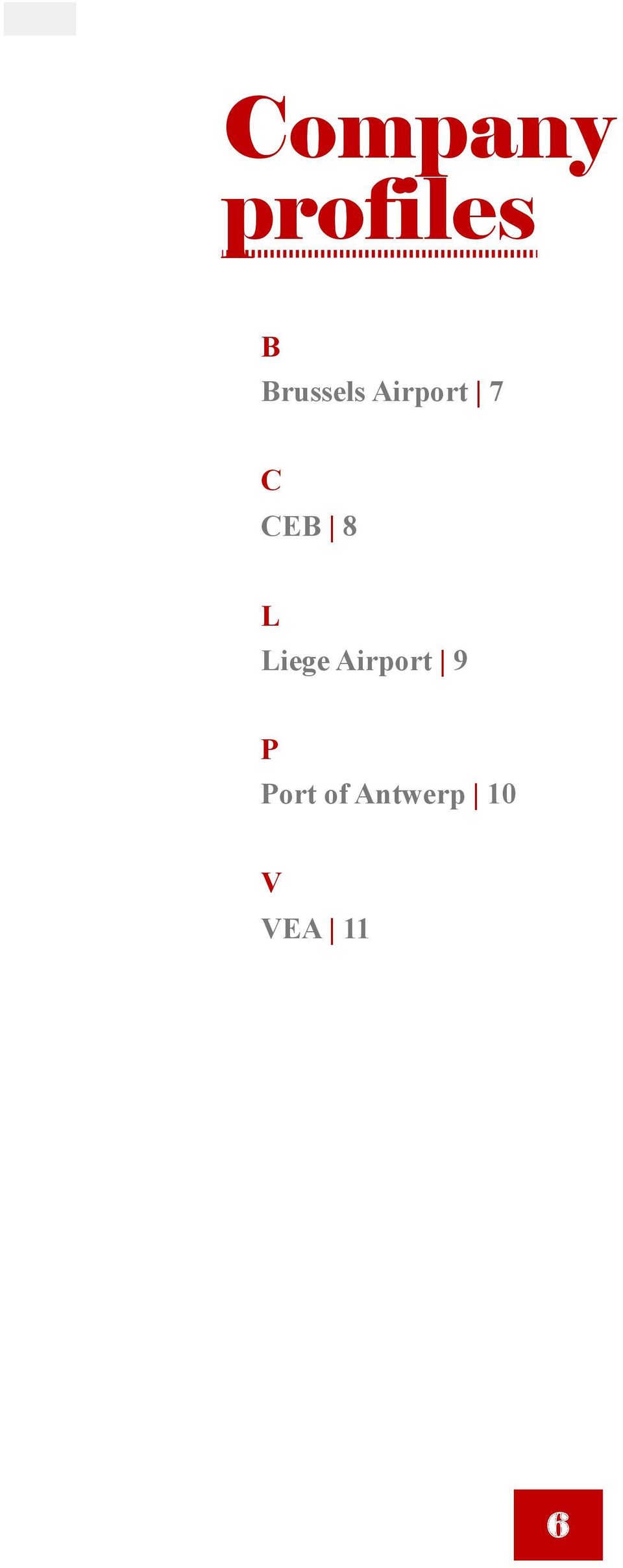 CEB 8 L Liege Airport 9