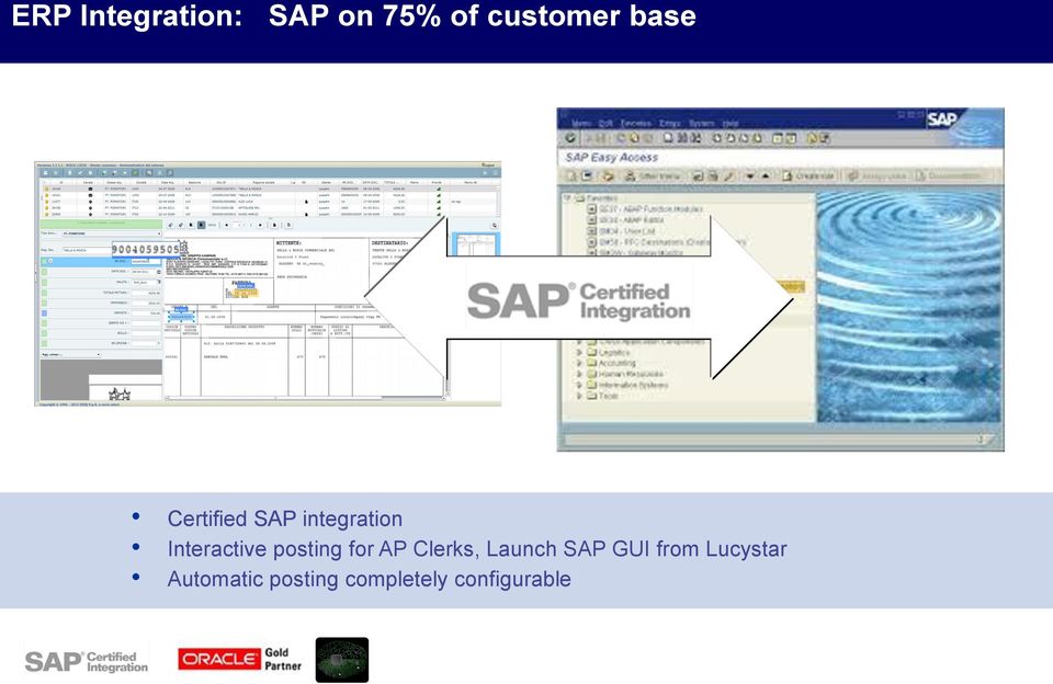 posting for AP Clerks, Launch SAP GUI from