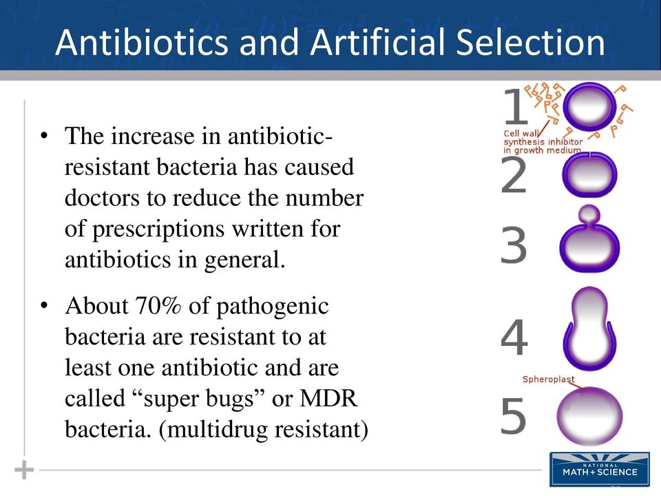 antibiotics in general.