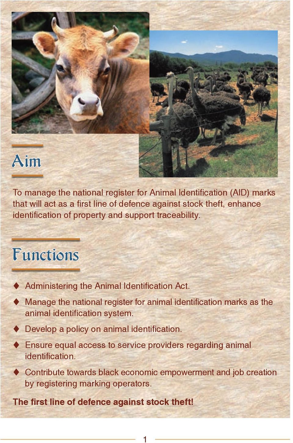 t Manage the national register for animal identification marks as the animal identification system. t Develop a policy on animal identification.