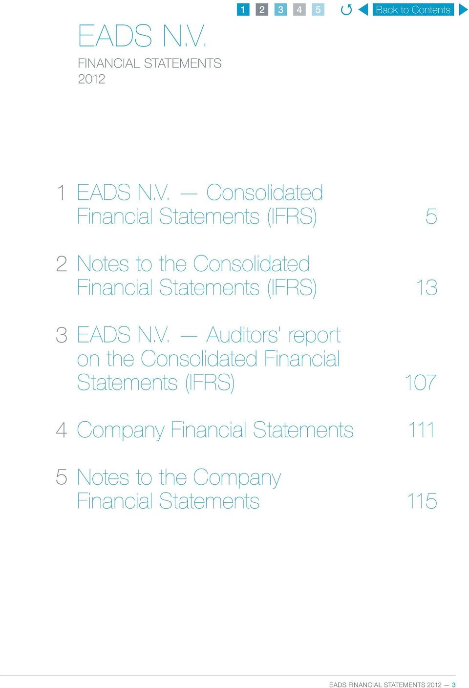 to the Consolidated Financial Statements (IFRS) 13  Auditors report on the