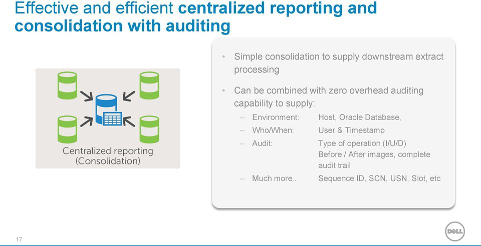 capability to supply: Environment: Host, Oracle Database, Who/When: User & Timestamp Audit: Type