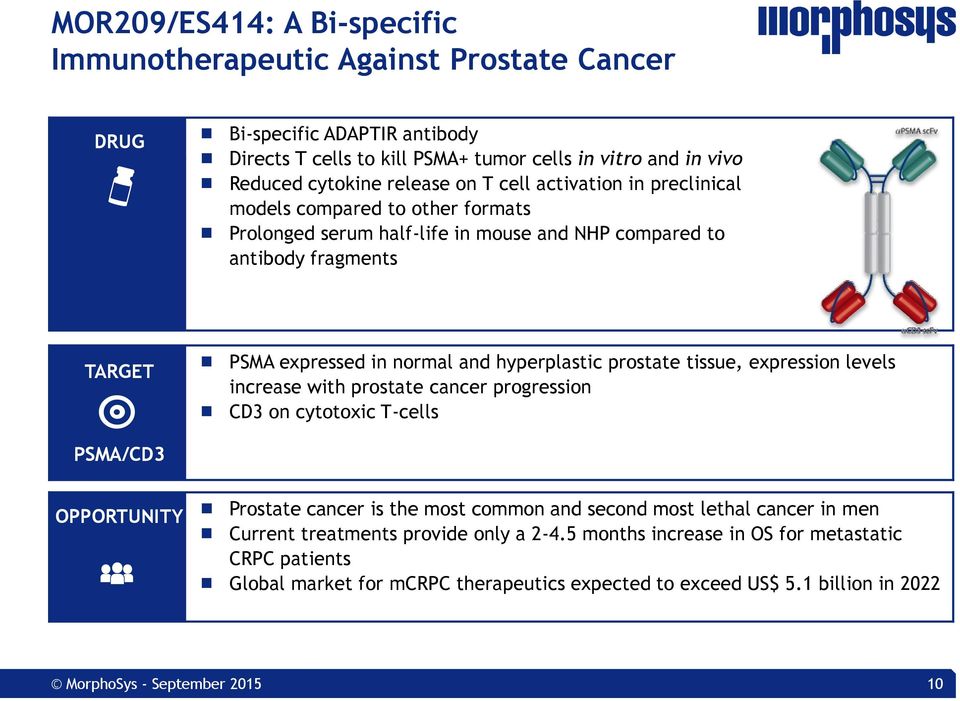 prostate tissue, expression levels increase with prostate cancer progression CD3 on cytotoxic T-cells PSMA/CD3 OPPORTUNITY Prostate cancer is the most common and second most lethal cancer in men
