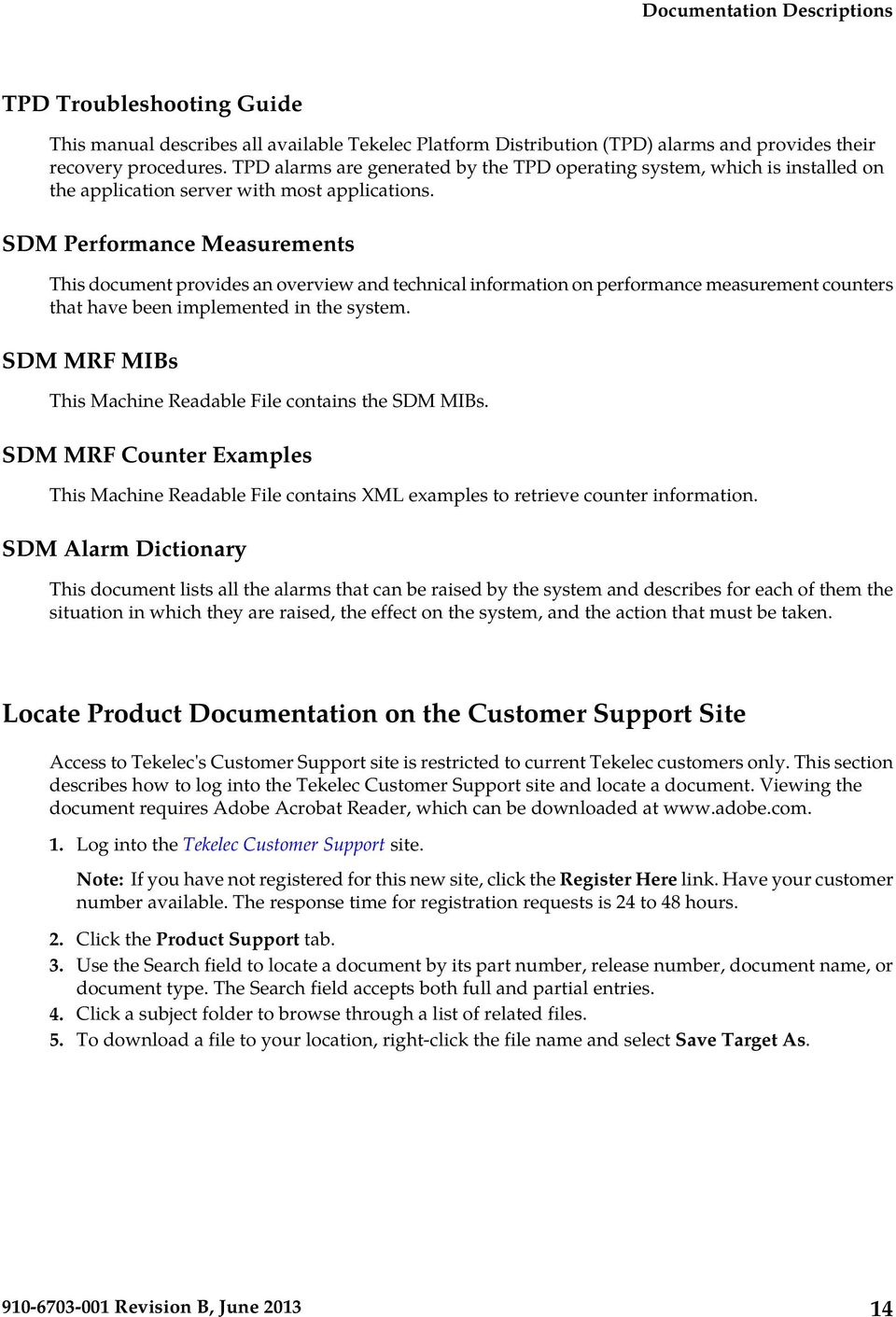 SDM Performance Measurements This document provides an overview and technical information on performance measurement counters that have been implemented in the system.