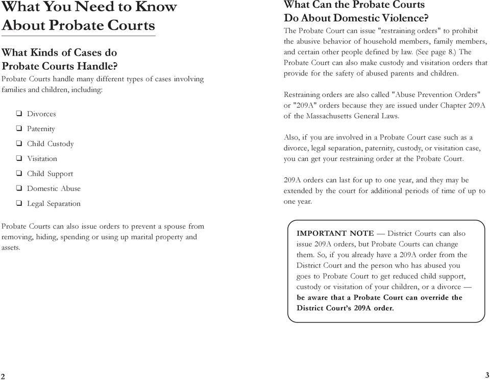 Probate Courts Do About Domestic Violence?