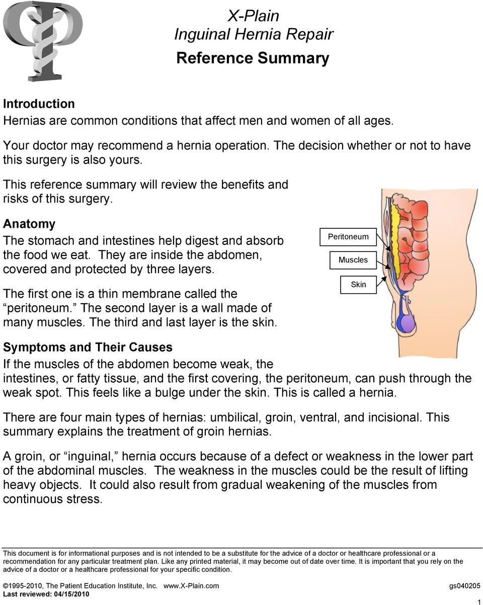 Anatomy The stomach and intestines help digest and absorb the food we eat. They are inside the abdomen, covered and protected by three layers. The first one is a thin membrane called the peritoneum.