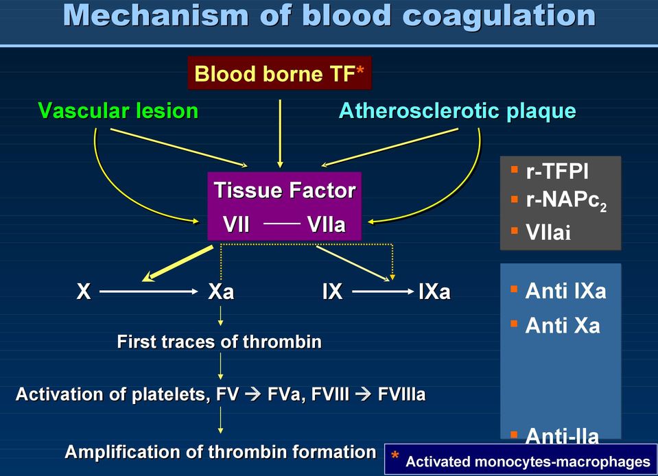 IXa Anti IXa Anti Xa First traces of thrombin Activation of platelets, FV
