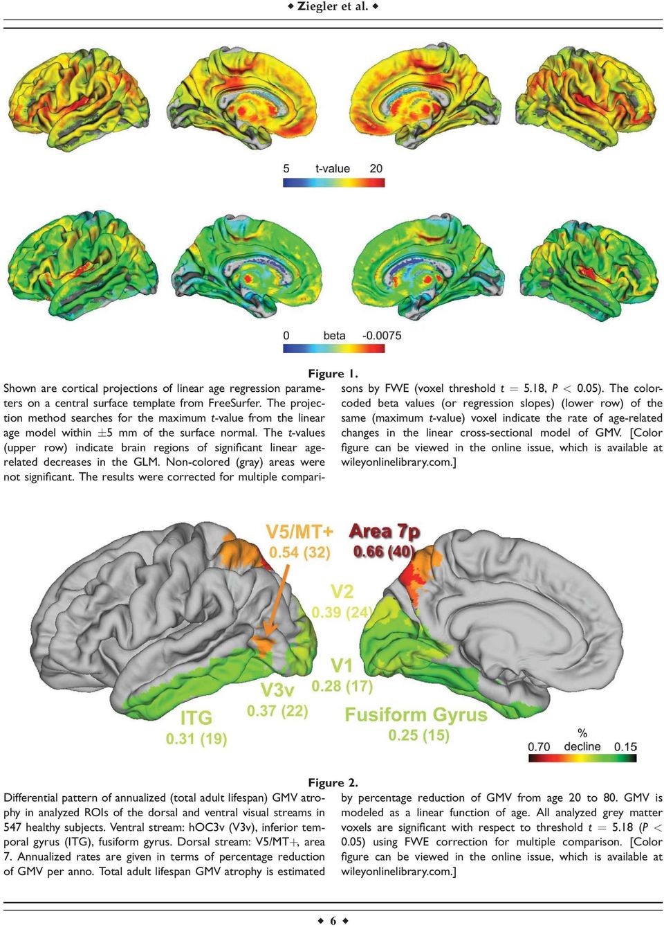 The t-values (upper row) indicate brain regions of significant linear agerelated decreases in the GLM. Non-colored (gray) areas were not significant.