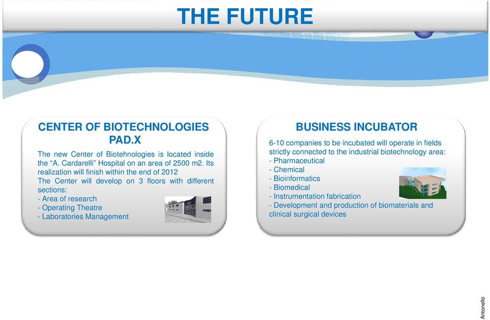 Laboratories Management BUSINESS INCUBATOR 6-10 companies to be incubated will operate in fields strictly connected to the industrial biotechnology area: