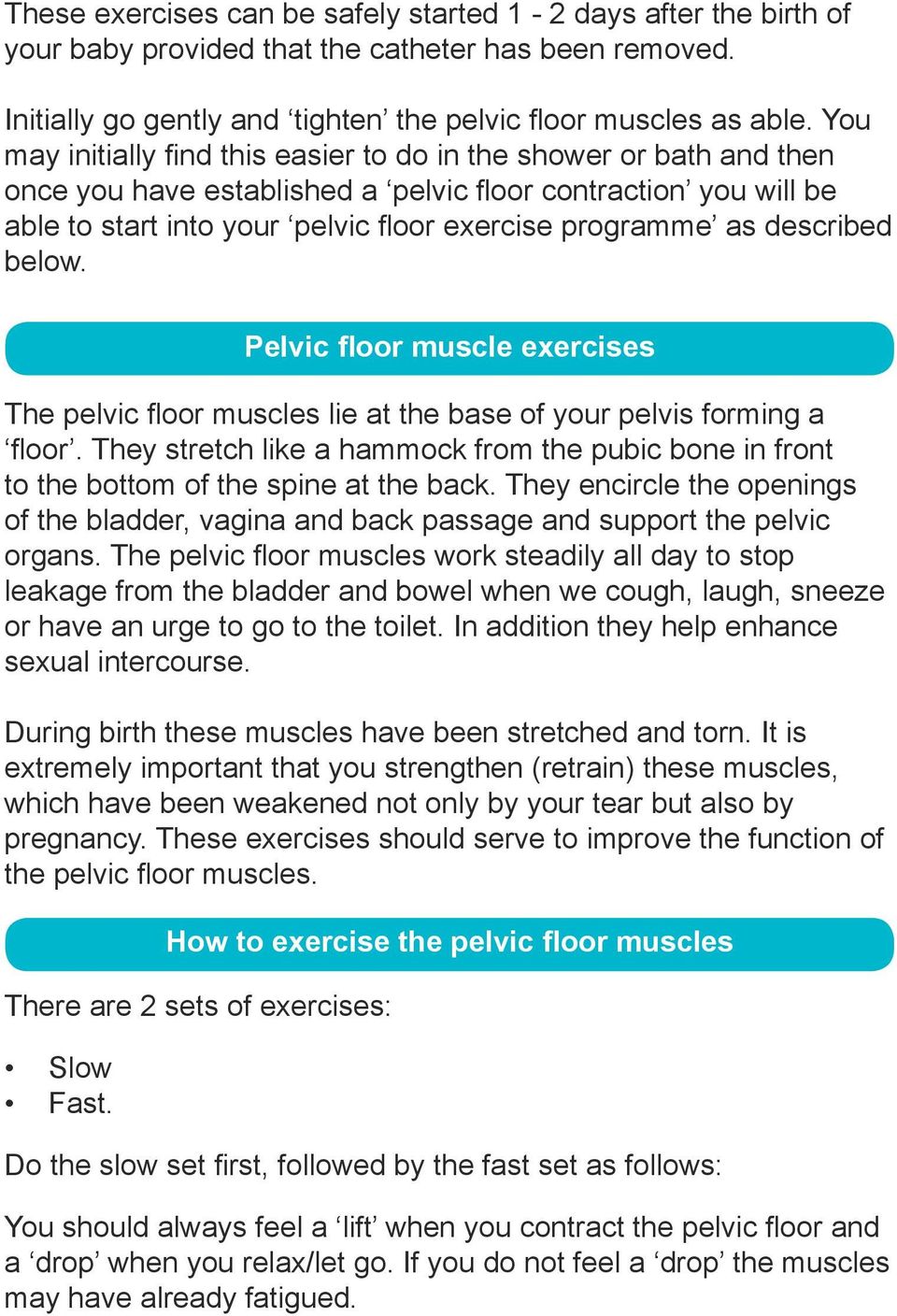 described below. Pelvic floor muscle exercises The pelvic floor muscles lie at the base of your pelvis forming a floor.