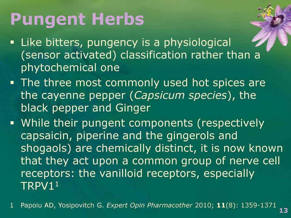 (respectively capsaicin, piperine and the gingerols and shogaols) are chemically distinct, it is now known that they act upon a common