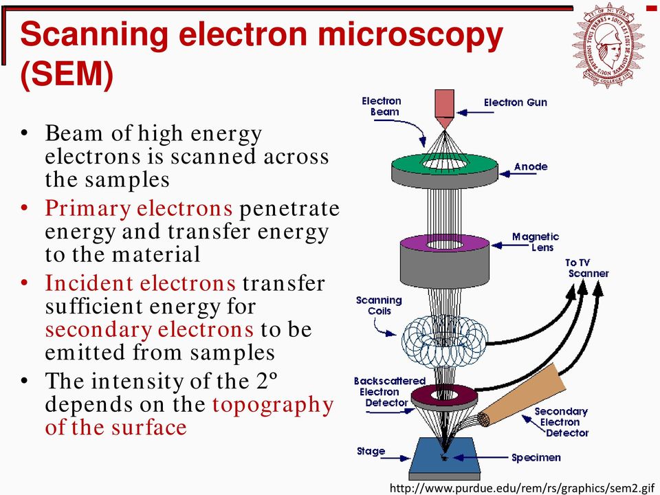 electrons transfer sufficient energy for secondary electrons to be emitted from samples The