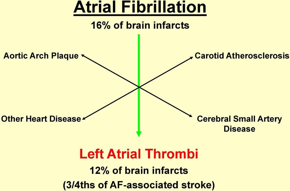 Disease Cerebral Small Artery Disease Left Atrial