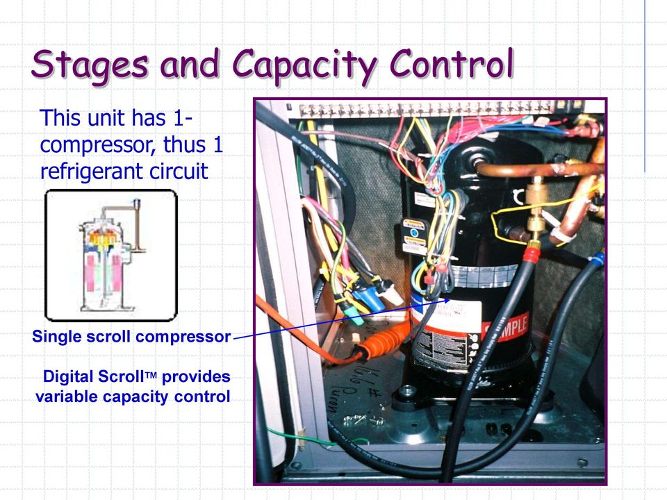 circuit Single scroll compressor Digital