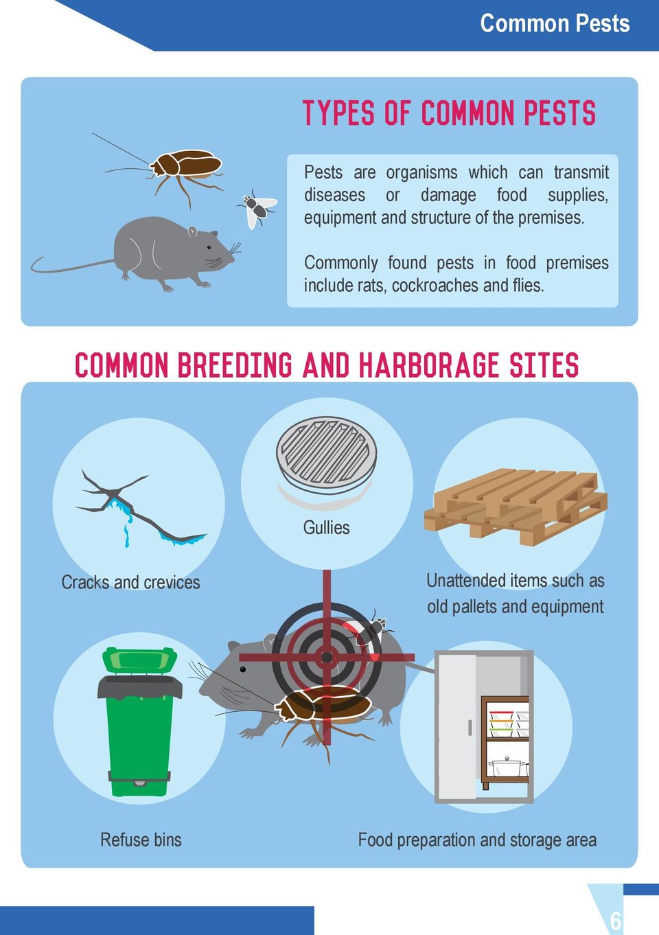 Commonly found pests in food premises include rats, cockroaches and flies.