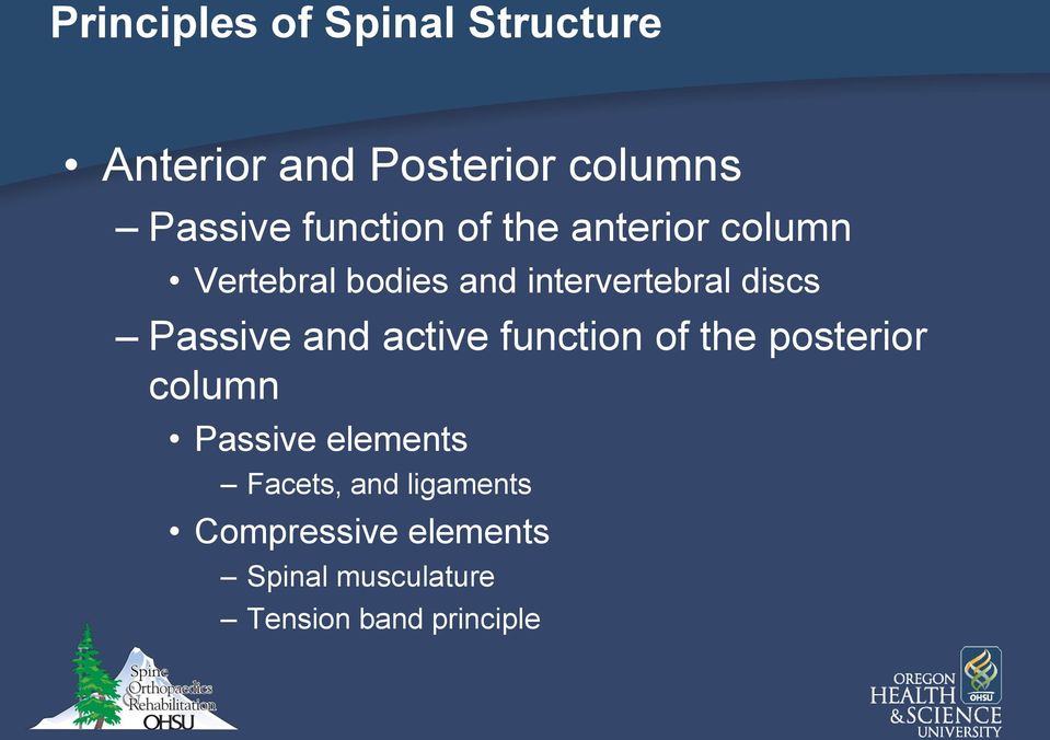 Passive and active function of the posterior column Passive elements