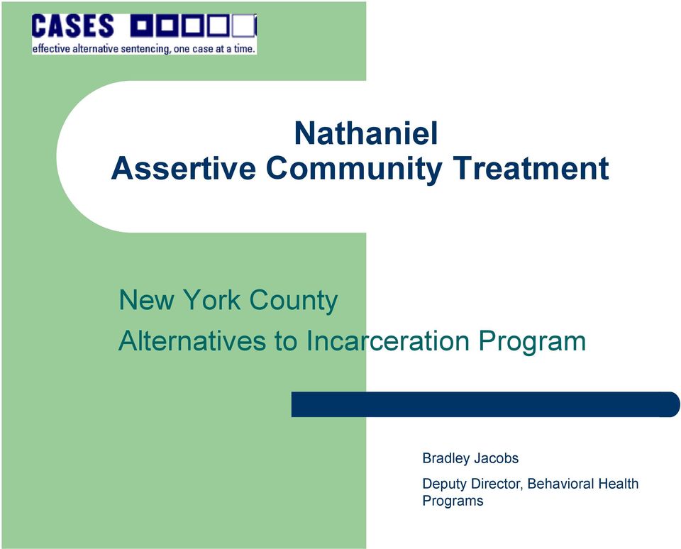 Alternatives to Incarceration Program