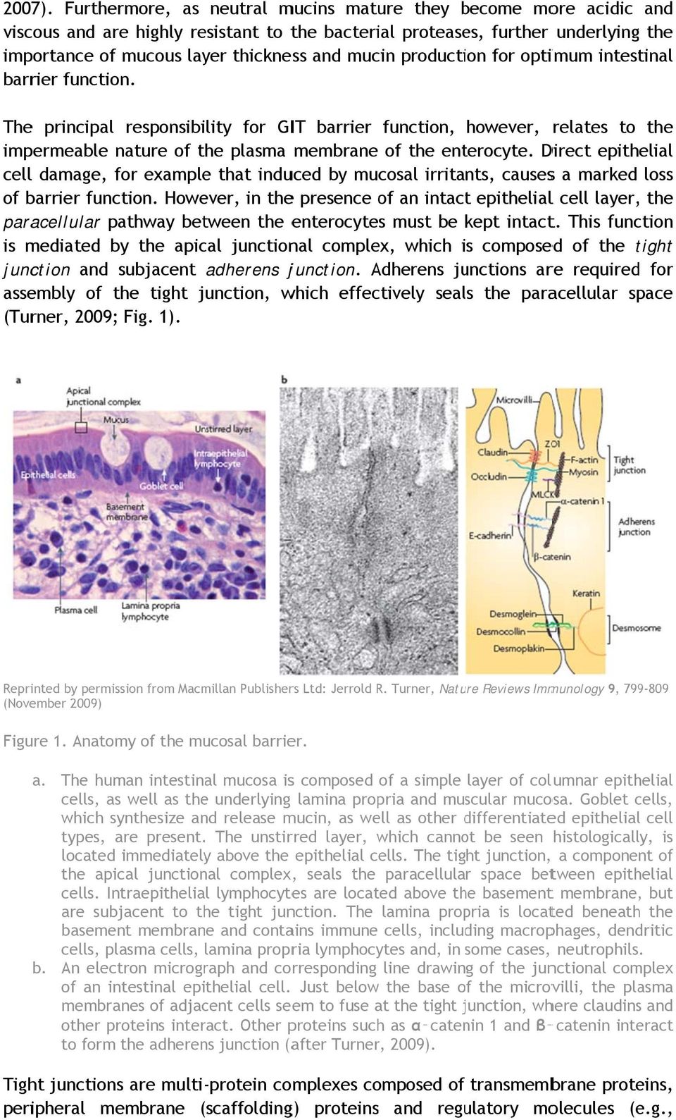 production for optimum intestinal barrier function. The principal responsibility for GIT barrier function, however, relates to the impermeable nature of the plasma membrane of the enterocyte.