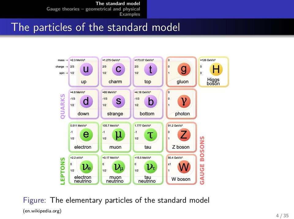 elementary particles of the