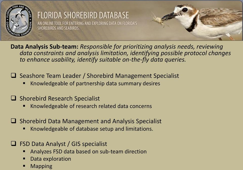 Seashore Team Leader / Shorebird Management Specialist Knowledgeable of partnership data summary desires Shorebird Research Specialist Knowledgeable of