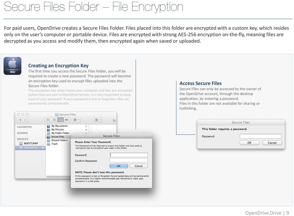 Files are encrypted with strong AES-256 encryption on-the-fly, meaning files are decrypted as you access and modify them, then encrypted again when saved or uploaded.