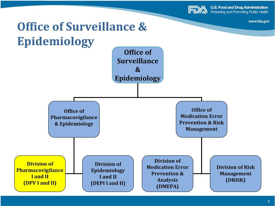 Division of Pharmacovigilance I and II (DPV I and II) Division of Epidemiology I and II (DEPI