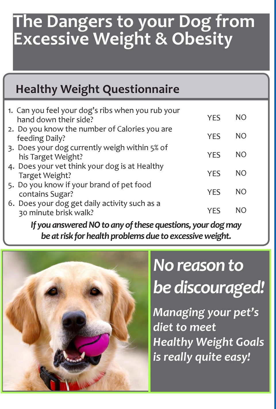 Does your vet think your dog is at Healthy Target Weight? 5. Do you know if your brand of pet food contains Sugar? 6.