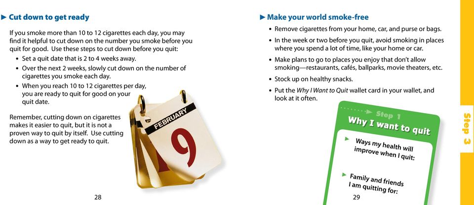 When you reach 10 to 12 cigarettes per day, you are ready to quit for good on your quit date. c Make your world smoke-free Remove cigarettes from your home, car, and purse or bags.