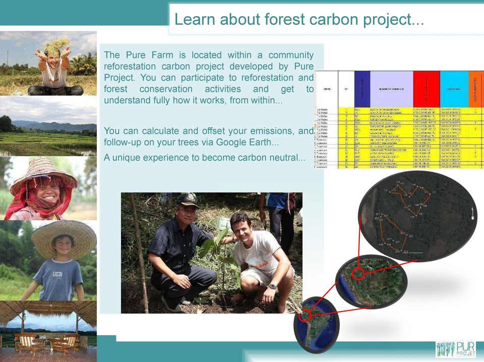 You can participate to reforestation and forest conservation activities and get to understand fully