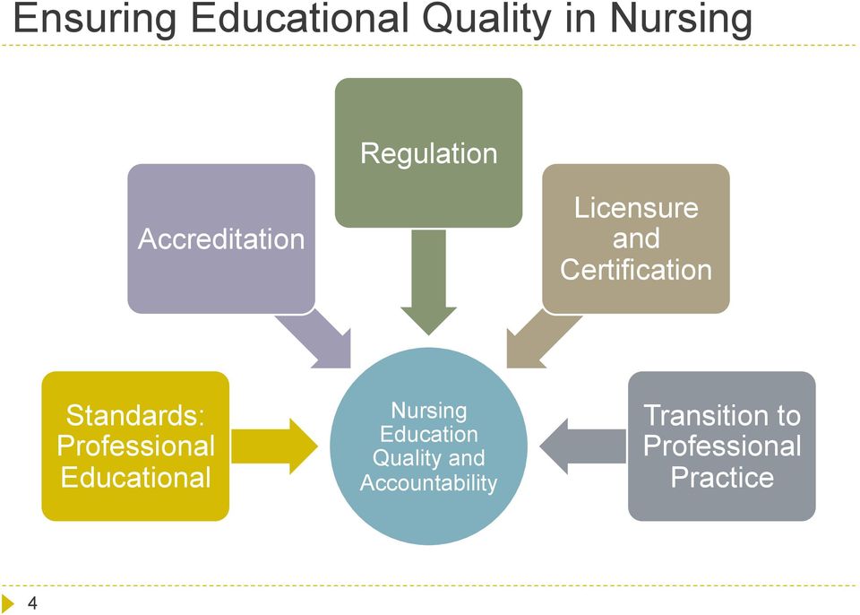 Professional Educational Nursing Education Quality
